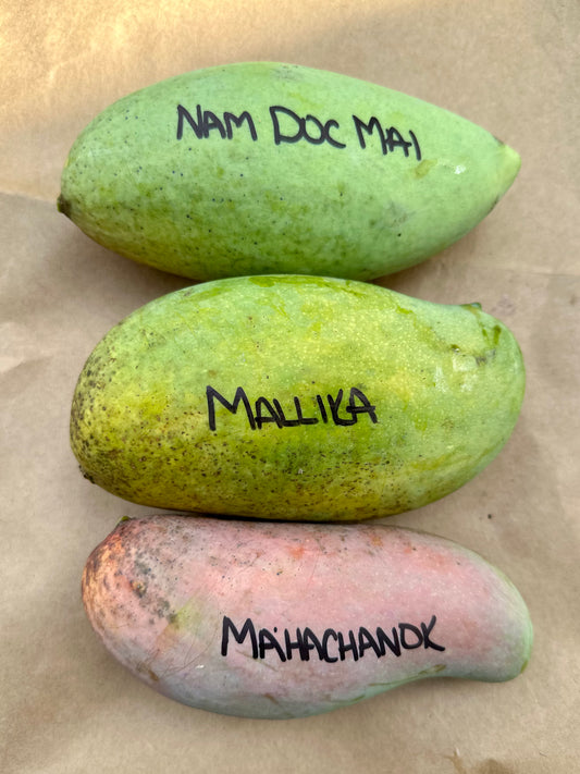 Mixed Premium Fresh Mango Box Mallika, Nam Doc Mai, Mahachanok 5-6lb