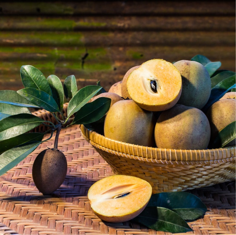 Sapodilla 3-4 lbs Fresh Fruit