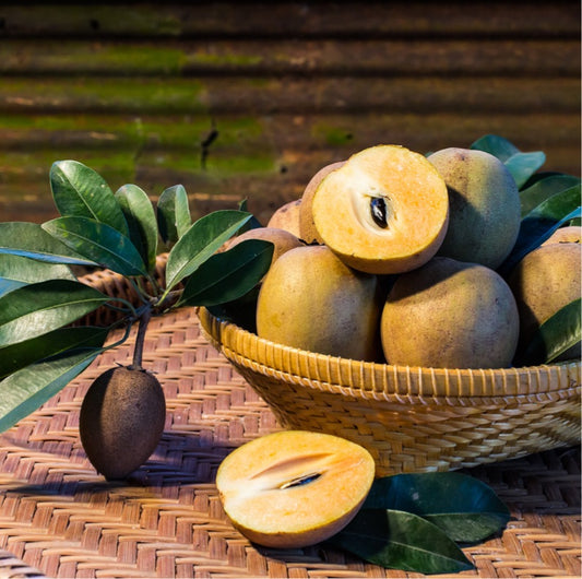 Sapodilla 3-4 lbs Fresh Fruit